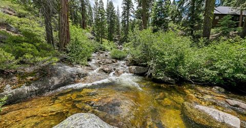 19 Sciots Tr, Twin Bridges, CA 95735 Photo