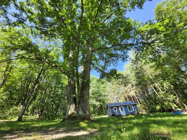 2867 E Hawley Road, Custer, MI 49405