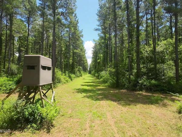 1026 Mt Olive Road, Mount Olive, MS 39119