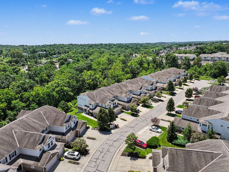 2260 Paragon Mill Drive, Burlington, KY 41005 Photo 48
