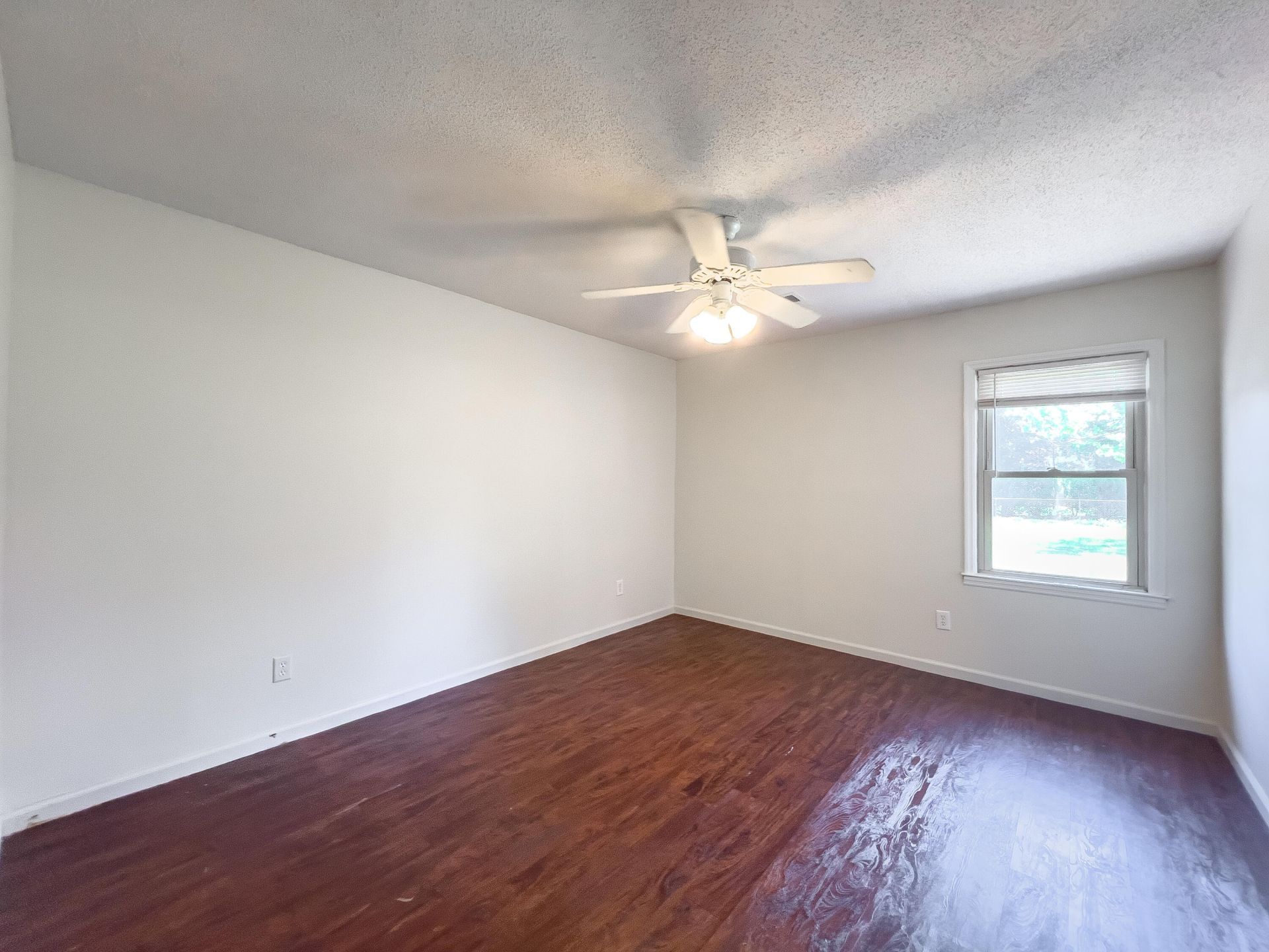 215 Ruffin Road Photo 8