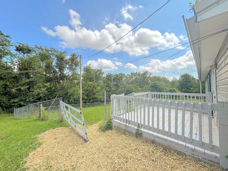 390 Lynn Lane, Falmouth, KY 41040 Photo 36