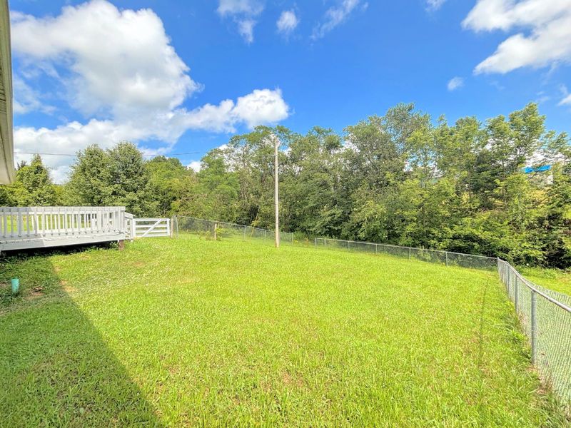 390 Lynn Lane, Falmouth, KY 41040 Photo 4