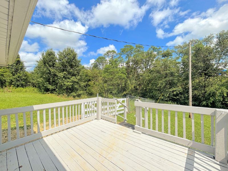 390 Lynn Lane, Falmouth, KY 41040 Photo 42