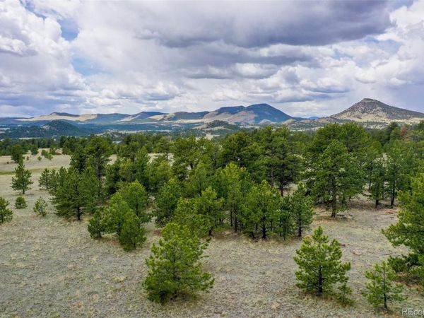 000 Doe Valley Road , Guffey, CO 80820