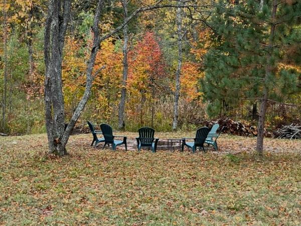 1722 Mcgregor Road, Vanderbilt, MI 49795