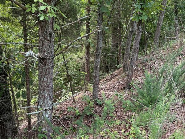 Flint Ridge Road, Lot 417 , Rockwood, TN 37854