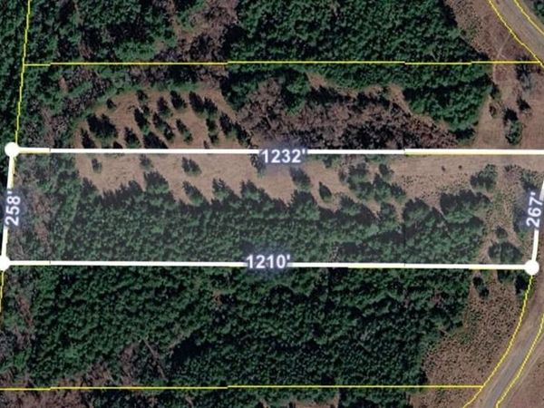 0 White Creek Dr, Deer Lodge, TN 37726