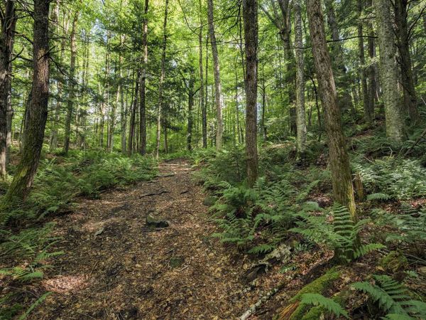 00 Ryder Pond Road, Whitingham, VT 05361