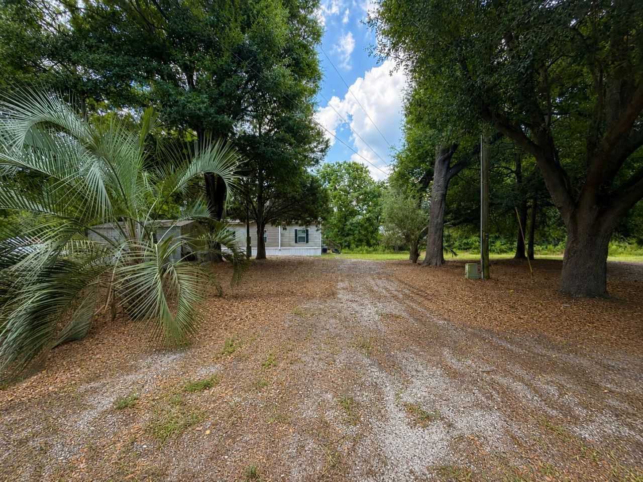 5808 Savannah Highway Photo 6