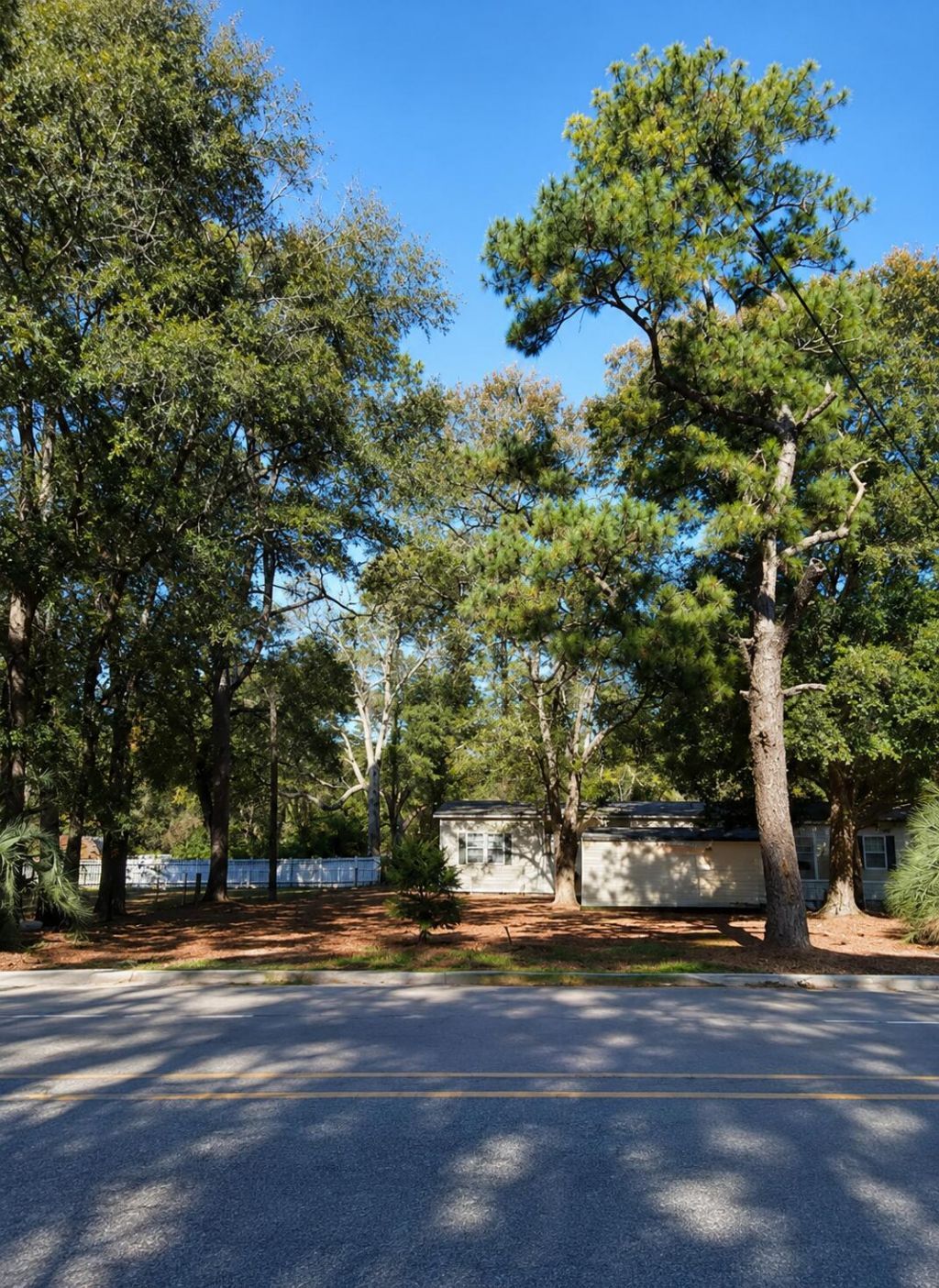 5808 Savannah Highway Photo 8