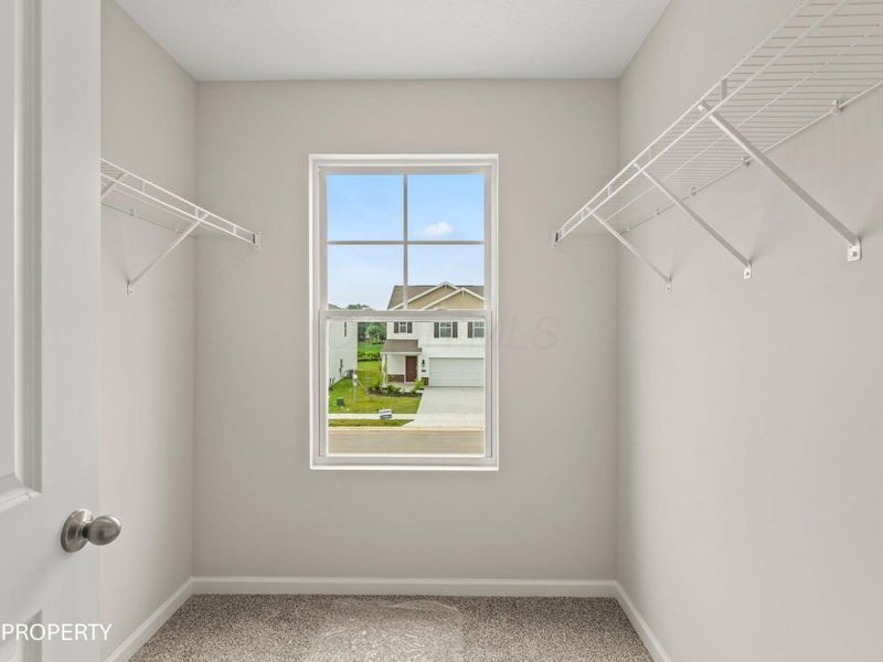 5886 Scarlet Birch Drive, Canal Winchester, OH 43110 Photo 18