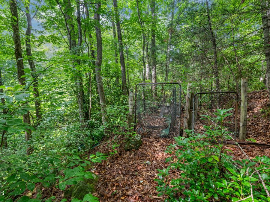 Property Image 37