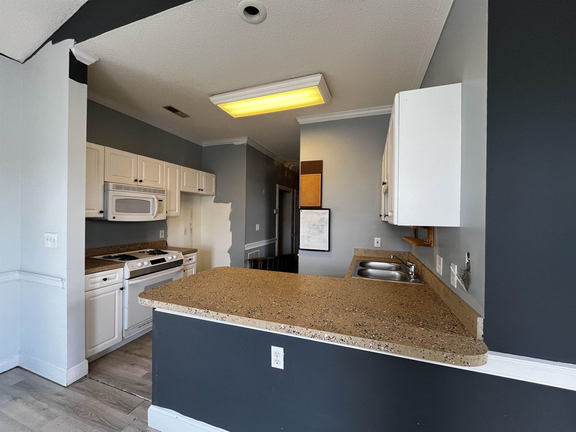4725 Wild Iris Dr.  Photo 11