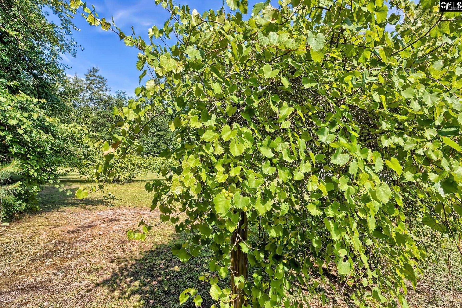 150 Timmerman Road  Photo 30