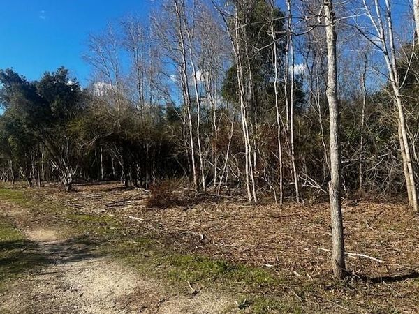 0 Bellingrath Road , Theodore, AL 36582