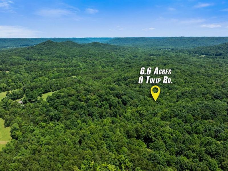 0 Tulip Road, Lynx, OH 45650 Photo 3