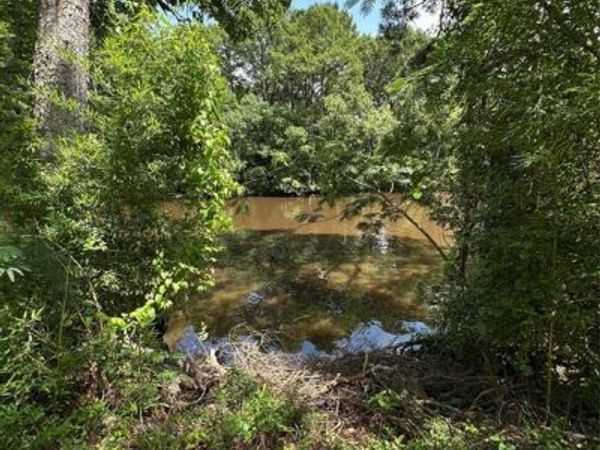 0 Horseshoe Loop, Doyline, LA 71023