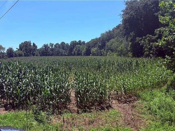 TBD Rockford Road , Dobson, NC 27017