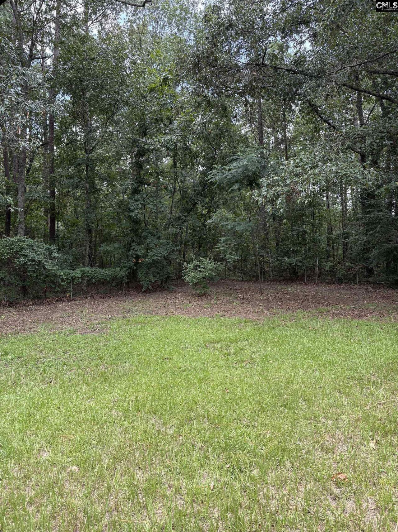 3124 Pine Plain Road  Photo 4