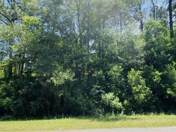 0 Thomas Road, Theodore, AL 36582