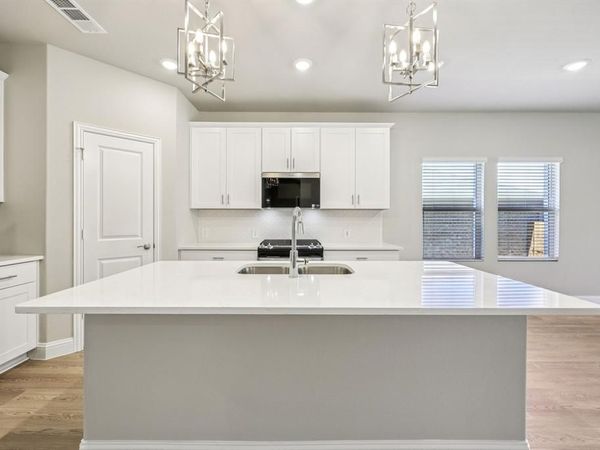 1728 Gardendale Hollow Lane, Anna, TX 75409
