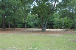 649 Laurel Road  photo 4