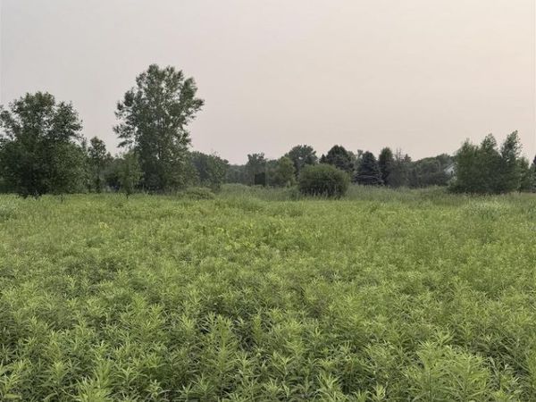 FOXWOODS LANE, Abrams, WI 54101