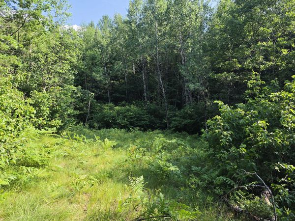 Lt1 Oak Ridge Rd, Unit 4.62 Acres, Amberg, WI 54102