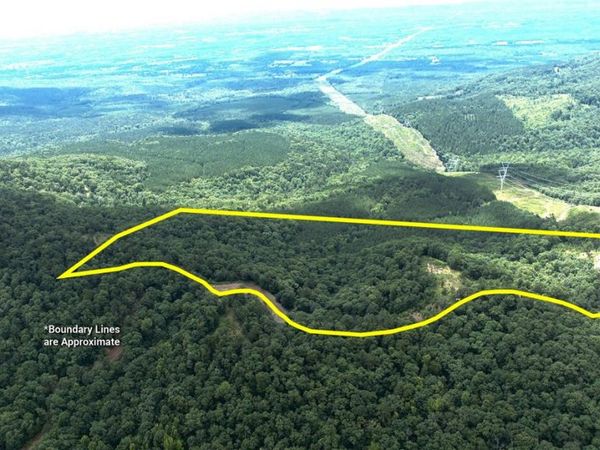 Tater Mountain West , Dardanelle, AR 72834