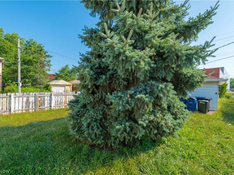 898 Wayside Road, Cleveland, OH 44110 Photo 26