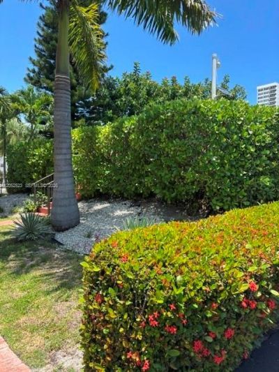 3177 S Ocean Dr, Unit 217, Hallandale Beach, FL 33009 Photo