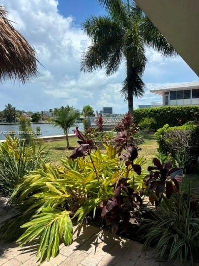 3177 S Ocean Dr, Unit 217, Hallandale Beach, FL 33009 Photo