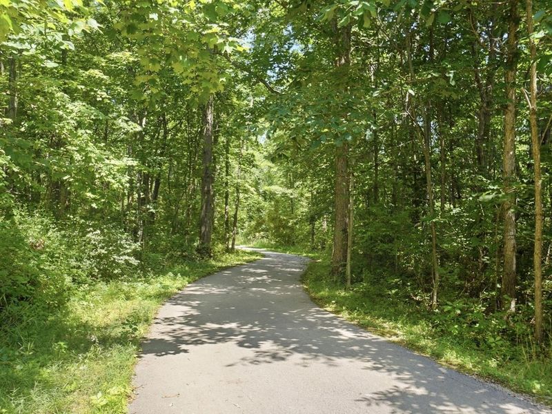 856 Arabian Circle, Unit 5498, Marysville, OH 43040 Photo 62