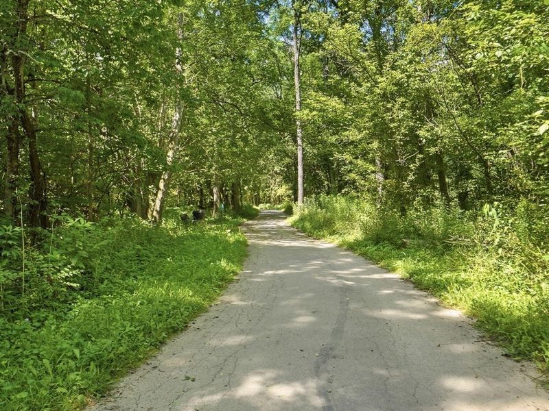 856 Arabian Circle, Unit 5498, Marysville, OH 43040 Photo 63