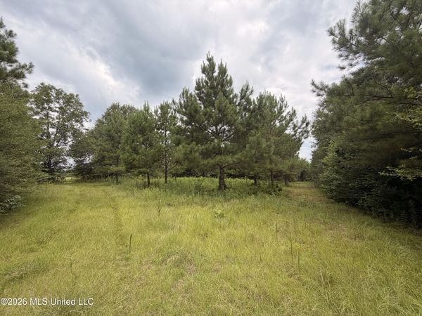 0 Beartown Road, Jayess, MS 39641
