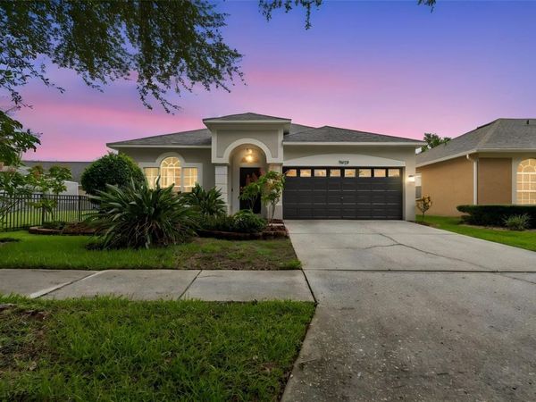 19029 CHEMILLE DRIVE , LUTZ, FL 33558