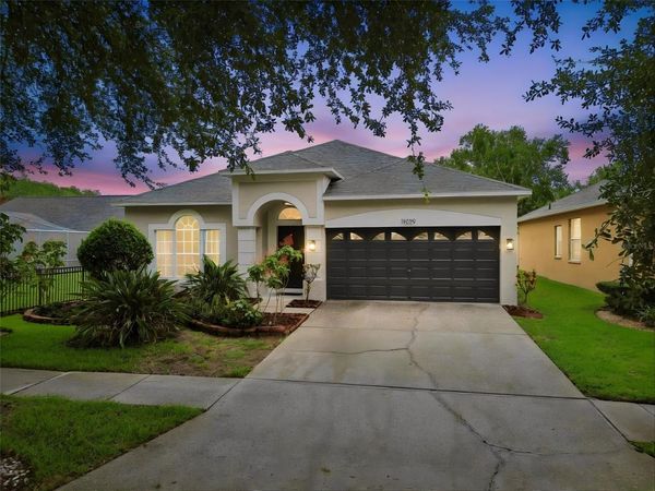 19029 CHEMILLE DRIVE , LUTZ, FL 33558