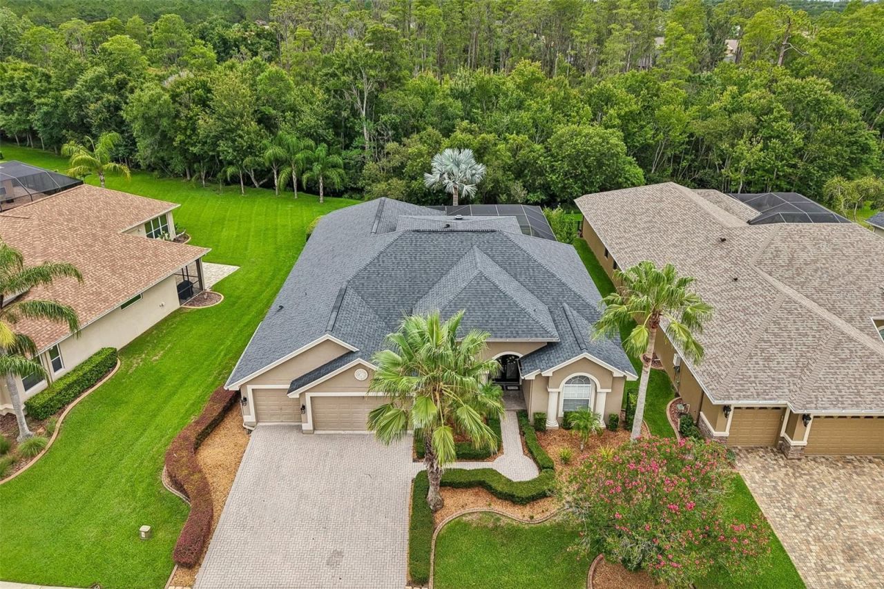 23639 Gracewood Circle , Land O Lakes, FL 34639 Photo