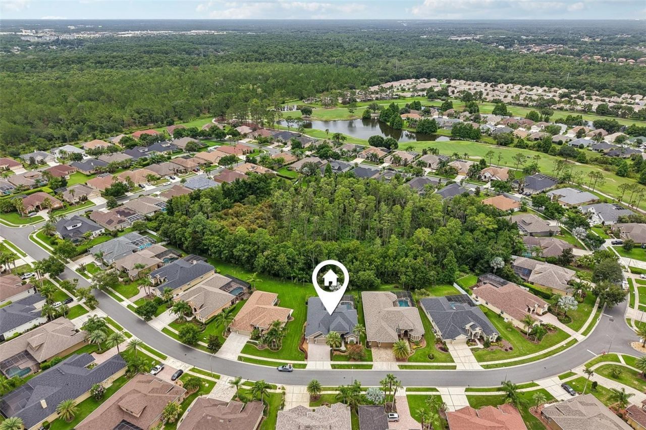 23639 Gracewood Circle , Land O Lakes, FL 34639 Photo