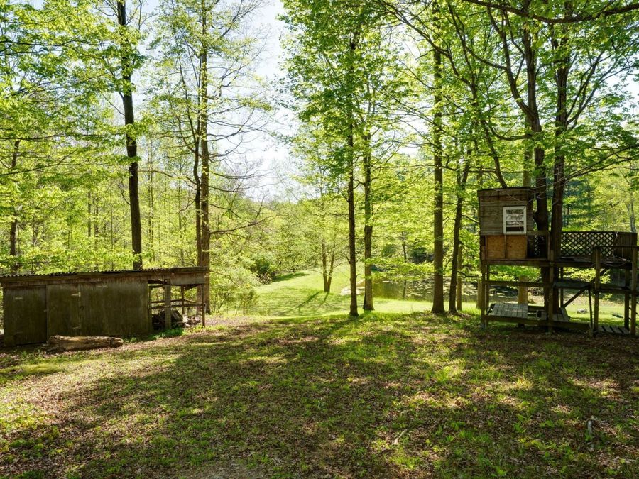 Property Image 61