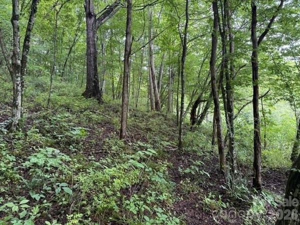 TBD Meadow Fork Road , Hot Springs, NC 28743