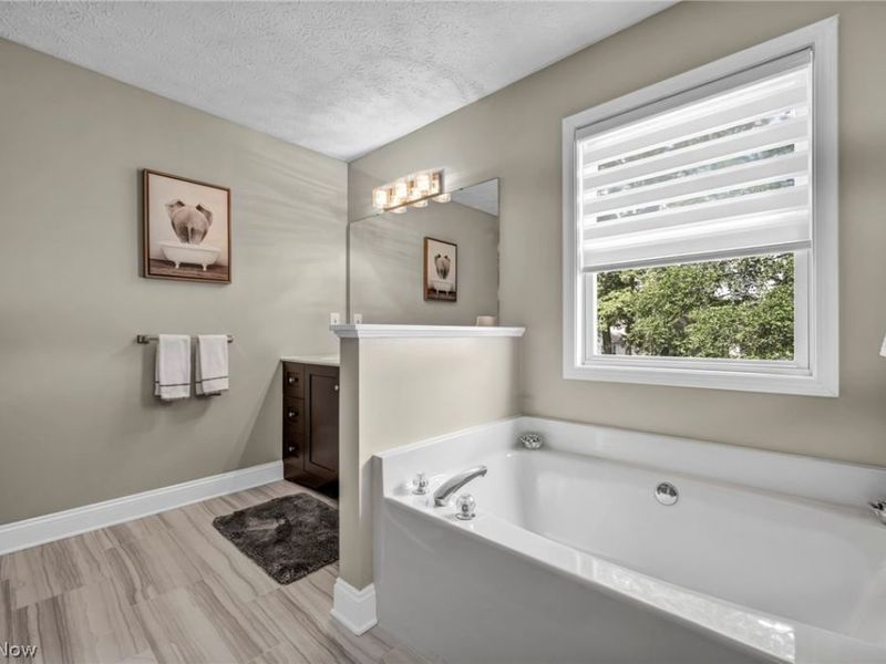 1454 Hollow Wood Lane, Avon, OH 44011 Photo 31