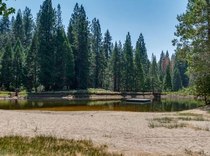 3487 Gardner Flat Road, Dorrington, CA 95223 Photo
