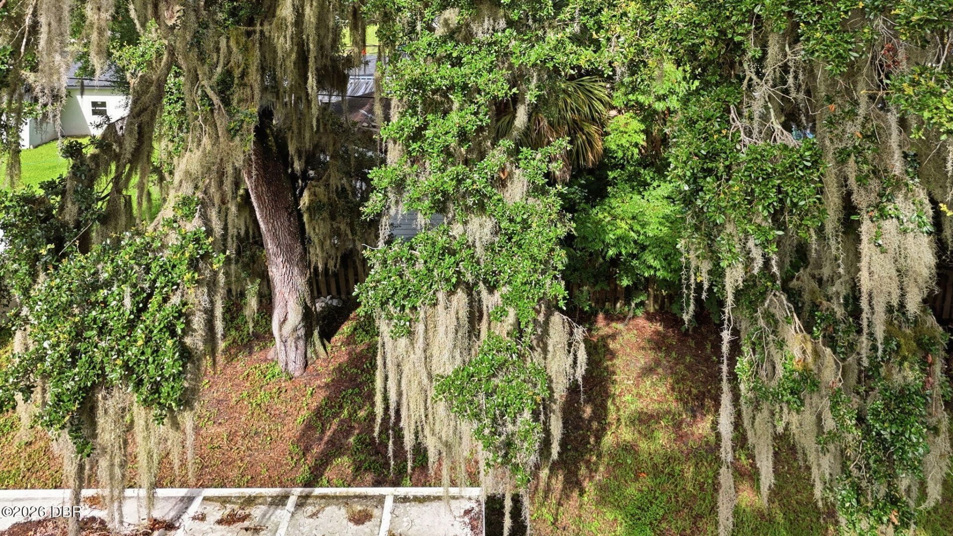 3128 Mango Tree Drive, Edgewater, FL 32141 Photo