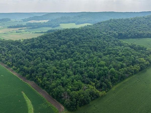 0 County Road J, Mondovi, WI 54755