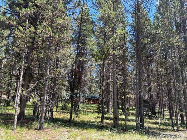 3884 F Street, ISLAND PARK, ID 83429