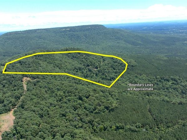 Tater Mountain East , Dardanelle, AR 72834