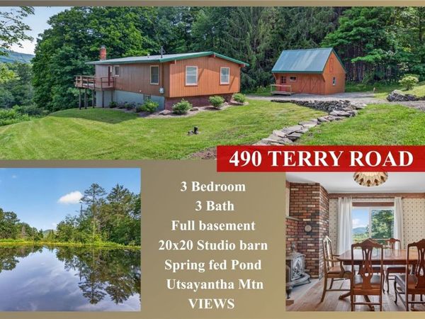 490 Terry Road, Stamford, NY 12167