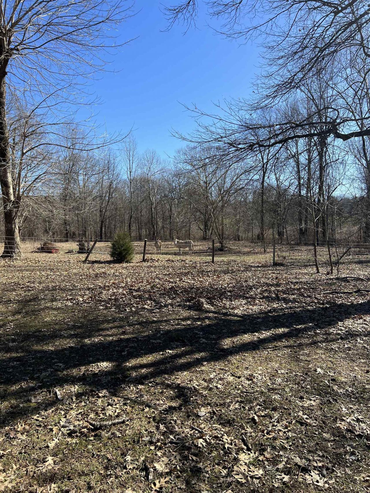 0 Underwood Rd, Russellville, AL 35653 Main Photo